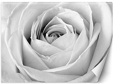 Feeby Wandtapete Fototapete Vlies Natur Blume Rose 250x175 cm schwarz-weiß Modern Tapete Wohnzimmer Schlafzimmer Nahaufnahme Makro Zoom