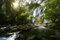 WASSERFALL Fototapete VLIES-450x280 cm (6265A)-Natur Bäume Regenwald Dschungel Wald Fotokunst Wandtapete-Inkl. Kleister-Vliestapete Bild Dekoration Wand-Dekor Moderne Motiv-Tapete Panorama Poster XXL