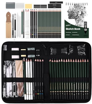 hicoosee Juego de 43 Lápices de Dibujo Profesional, Set de Dibujo en Carboncillo Incluye Lápices de Carbón Lápices de Boceto, Goma de Borrar y Palo de Carbón, Artistas y Principiantes