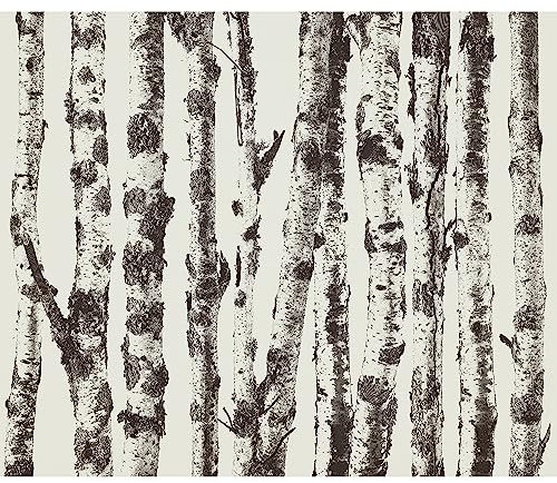 murando Fototapete selbstklebend Natur 343x256cm Foto Tapete Tapetenfolie Möbelfolie Wandverkleidung Wandtapete Motivtapeten Bildtapete Wohnzimmer 3d Effekt Modern Bäume Birke Wald Abstrakt Birkenwald