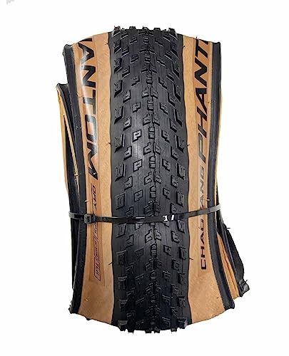 CHAOYANG Tyre 29x2,2 Phantom Dry 60TPI Tubeless Ready 2C-MTB, Unisex-Adult, Negro, Talla Única