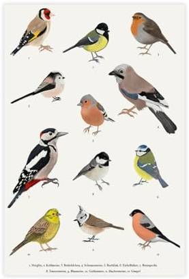Natürliche Gartenvögel, Naturliebhaber, Heimdekoration, Leinwand, Poster, Schlafzimmer, Dekoration, Landschaft, Büro, Raumdekoration, Geschenk, 30 x 45 cm