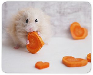 Cute Hamster Love Heart Mouse Mat Pad - Animal Lover Fun Gift PC Computer #8297