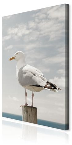 decomonkey Wandbilder Möwe 40x60 cm 1 Teilig Leinwandbilder Kunstdruck | Strukturleinwand, Holzkeilrahmen, Bild auf Leinwand, Wanddeko, Wohnzimmer, Wanddekoration, Vogel, Natur