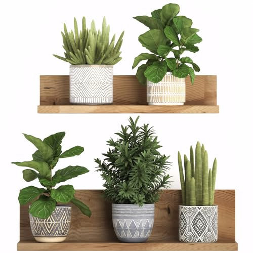 Wandtattoo Pflanzen 3D Grüne Pflanze Wandsticker Topfpflanze Wandaufkleber Blumen Kaktus Wandbilder Bonsai Vase Selbstklebend Wall Sticker Entfernbarer für Küche Wohnzimmer Bad Büro Wanddeko (D)