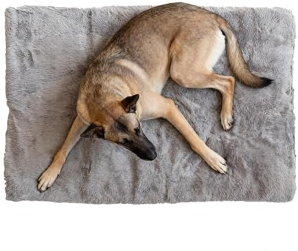 Fuzzy Hundebett, weich, beruhigend, tragbar, rutschfest, für Schlafsaal, Wohnung, Schlafzimmer, Wohnzimmer, Balkon