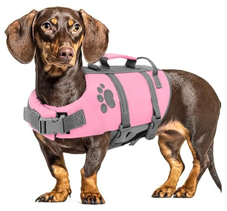 Queenmore Reflekterande flytväst för hund - Medium - Reglerbar - Passar Teckel - Fransk bulldog - Flytväst för hund - Kajak - Ljusrosa - Storlek M