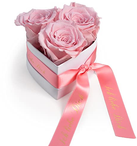 ROSEMARIE SCHULZ Heidelberg Infinity Rosen Rosenbox Herz - 10 x 12 cm 3 konservierte Rosa Rosen haltbar 3 Jahre - Geschenk zum Valentinstag Frau Ich Liebe (Rosa, Small)
