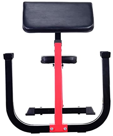 Aioneer Hantelbank mit Preacher-Curl-Funktion, Armtrainer, römischer Stuhl, Hyperextensionsbank, Rückentraining, Robustes Heim-Fitnessgerät, maximale Belastung 300 kg