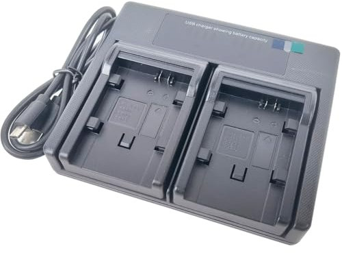 Chargeur de batterie double USB pour Canon BP-828 BP-827 BP-820 BP-808 BP-807 BP-819 iVIS HF M30 M31 M32 M36 M40 M300 M400 LEGRIA HF20 HF200 HG20 HG20 HG30 H Appareil photo G40 XA25 XA20 XA10