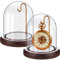 Beeveer 2 piezas de cúpula de cristal con base de madera decorativa de vidrio con campana de vidrio decorativa vitrina de cúpula de vidrio vitrina de cúpula de vidrio con ganchos para reloj, plantas,