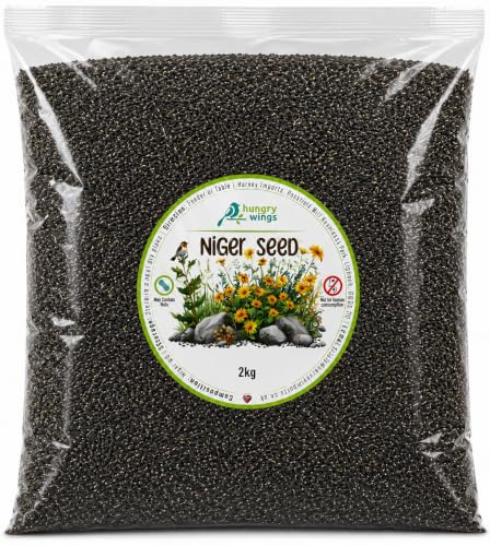 Wild Bird Food (2kg, Niger Seed)