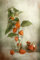 Kunstdruck/Poster: Mandy Disher Laternen - hochwertiger Druck, Bild, Kunstposter, 50x75 cm