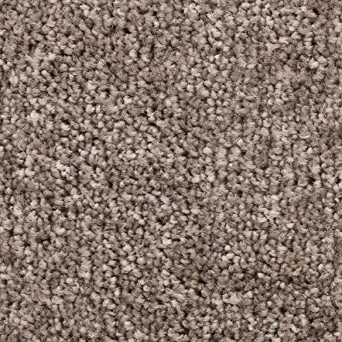 Teppichboden schwarz Meterware 500cm und 400cm Breite mit Textilrücken Kräuselvelours Teppich Auslegware weich ideal für Schlafzimmer (4 m x 2 m)