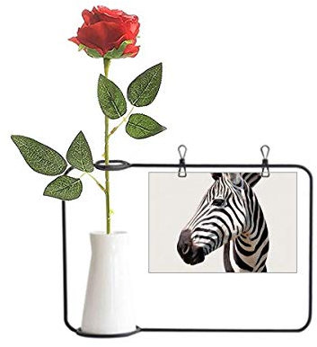 OFFbb-USA Künstliche Rosen-Vase mit Pferde-Streifen, schwarz-weiß, Afrika, hängende Vasen, Dekoration