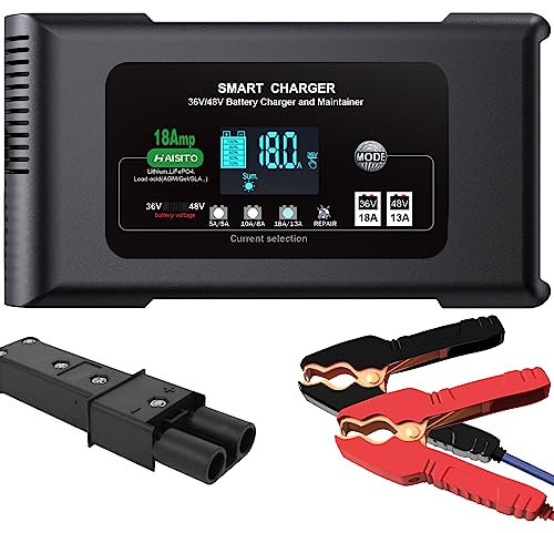 Golf Cart Battery Charger