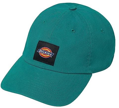 Dickies Men's Washed Canvas Cap Deep Lake Snapback Hat