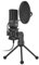 Woxter Micrófonos Mic Studio 50