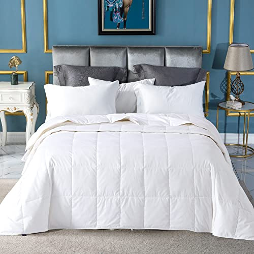 Globon Summer Down Comforter Queen Size, Extra Lightweight Duvet Insert