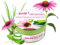 Betty's Nature Hand - und Körpercreme mit Echinacea und Aloe Vera Gel - 300ml - Vegane Körperlotion - Schützt und pflegt die Haut - Beruhigende und nährende Aloe Vera Creme - Für alle Hauttypen