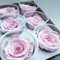 mamikatou Roses éternelles Rose Pastel ou Roses stabilisées vendues par 6