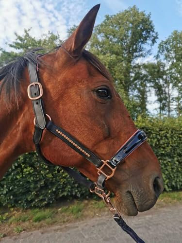 Esposita Lederhalfter mit Lackleder, Straß und anatomischem, gepolsterten Genickstück - Schwarz mit Rosegold Gr. Cob