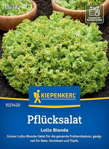 Kiepenkerl Pflücksalatsamen Lollo Bionda 1021420 - Schnellwüchsige, schossfeste Salatsamen für die Freilandsaison, gekrauste Blätter mit leicht nussigem Geschmack