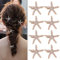 8 Stück Seestern Haarspangen, Meerjungfrauen Haarspangen mit Perlen Diamant, Gold Haar Accessoires Mädchen, Blumenmädchen-Zubehör für Hochzeit, Elegant Haarspange, Rutschfest Haarnadel Dick/Dünn Haar