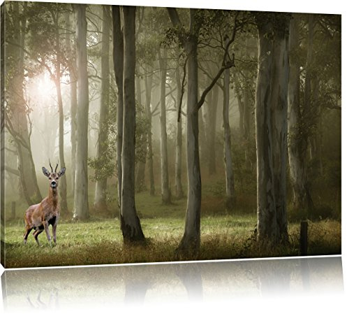 Pixxprint Cerfs Lone dans la forêt Profonde, Format: 60x40 sur Toile