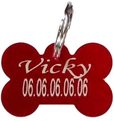 Medaglia e Cane o Gatto Incisione Personalizzata Protezione Smalto + Anello Attacco. Vari Modelli e Colori Disponibili