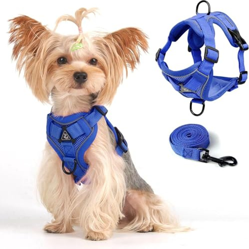 Vest Harness Leash Set for Small Dogs Large Cats, Escape Proof Adjustable Jacket with Leash for Thick Cats, Who Walk Outdoors, Soft Mesh Coat with Reflective Strips, XL Blue