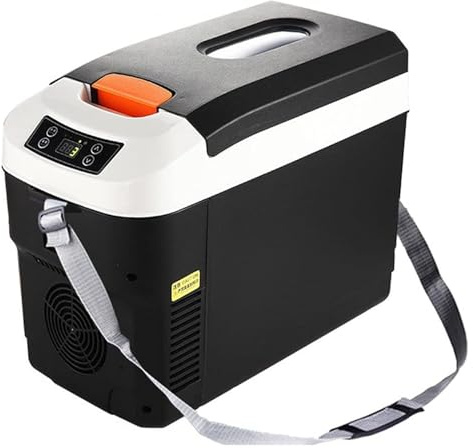 Pink Beryl Thermoelektrischer Kühler, tragbar, Wärme/Kühlschrank, 12 l, tragbar, für Campingautos, Strand, Reisen, 12 V/24 V & 220 V (Farbe: Schwarz)