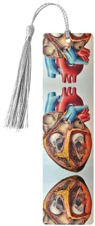 Menschliche Anatomie Herz Diagramm Holz Lesezeichen - Schöne doppelseitig bedruckte Lesezeichen aus hochwertigem Pappelholz für Bücher, Tagebücher & mehr
