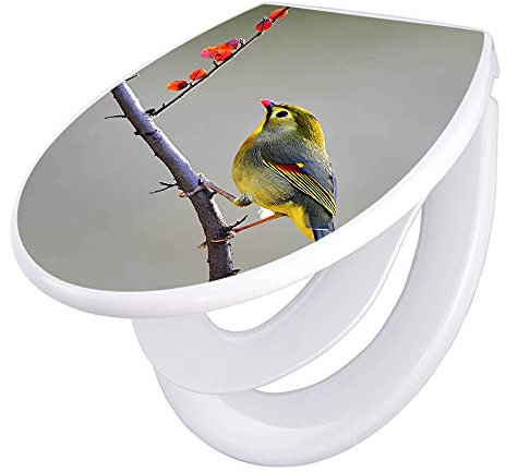 banjado Familien WC Sitz mit Absenkautomatik 44,5x37cm / Klodeckel/Klobrille mit Kindersitz aus hochwertigem Polypropylen/Toilettensitz Kindersitz integriert Motiv Herbst Vogel