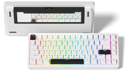 LQXQ SK75 75% Aluminium Wireless Mechanical Tastatur ANSI US, Pre-lubed POM Switches RGB Creamy Gaming Keyboard, 3-Modes BT5.0/2.4G/USB-C, Hot Swappable Keyboard mit Dichtung, Weiß