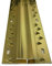 Double Edge Carpet to Carpet Metal Door Bar Trim (900mm, Gold)