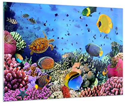 Bilder auf Glas 100x70cm Glasbild Korallenriff Groß Wanddeko Bild im Glas Schlafzimmer Küche Deko Wandbilder Dekoration Wohnzimmer Modern Wall Decor Glasdruck Wand Kunstdruck Art GAA100x70-3569