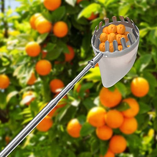 Obstpflücker Obsternter mit Leichter Edelstahl-Teleskopstange, tragbares Erntehelfer Obstpflücker in großer Höhe zum Sammeln von Apfel, Birne, Mango, Orange usw
