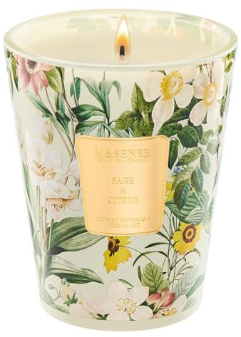 M&SENSE Duftkerze im Glas Salbei & Zitrus | 400g natürliche Sojawachskerze, 75 Std. Brenndauer Ideal für Büros & Bäder, Non Toxic