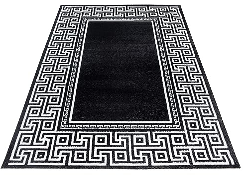 KADIMA DESIGN Wohnzimmerteppich Mäander Griechisch Pflegeleicht Elegant Waschbar Langlebig Strapazierfähig Schwarz 120x170 cm Schlafzimmer Wohnzimmer Oeko-TEX Fußbodenheizung geeignet | DRAU