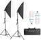 YISITONG Photography Softbox Lighting Kit 20x28 E27 Professional Softb Box 2x135W 5500K Continuous Lighting Equipment Video Light with Carry bag for Portraits and Product Shooting