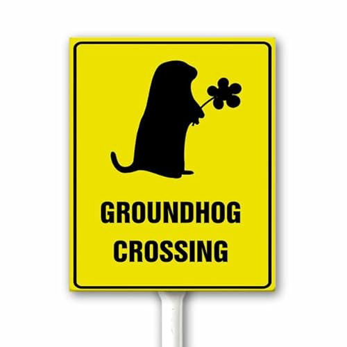 Marmotta attraversamento giallo XING segno lento segno divertente marmotta giorno decorazione cartello stradale animale cartello stradale 18 x 22 cm cartello per cortile vacanza con paletto robusto