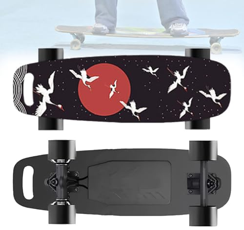 Zowdrix Elektro-Skateboard mit Fernbedienung, Höchstgeschwindigkeit 35 km/h, 7 Schichten Ahorn, 700-W-Motor, Longboard-Skateboard zum Abhängen mit Freunden C-30KM