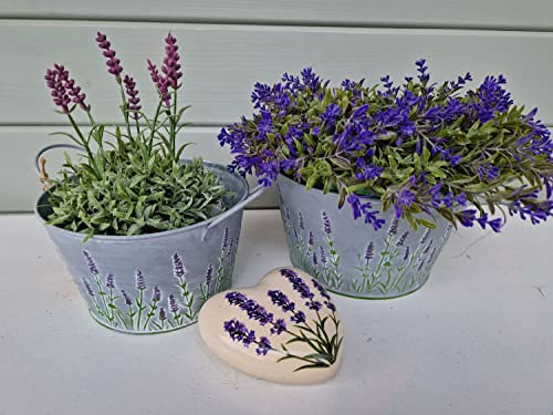 Pflanzschale Zink Lavendel Shabby mit Griffen 2 Größen wählbar Preis ab, Bitte Größe wählen:Groß 28x22x16 cm