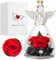 Laspi Regalo per la Mamma, Rose Eterna in Vetro Angeli Statuette, Regalo Compleanno per Donne, Rose Stabilizzata Vera, Regalo Festa della Mamma, San Valentino, Regalo di Natale