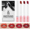 Lana Del Rey Lipstick,Set mit 4 Matten Lippenstiften,Lana Del Rey Lipgloss,Lippenstift Boxen,Hochpigmentierter Samt,Lippenstift-Make-Up-Set Für Mädchen Frauen (Rot, 4pcs)