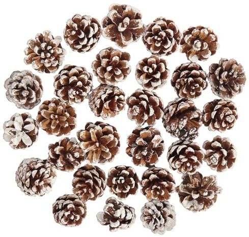 30 Stück Tannenzapfen Deko Klein Weihnachten Tannenzapfen Natürliche Tannenzapfen Kiefernzapfen Deko für Weihnachtsdeko DIY Handwerk Weihnachtsbaum Herbst Winter Dekoration (Weiß, 2-3cm)