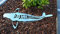 funkysteelart Deko Koi SHUSUI 70 cm aus Edelstahl geschliffen - gelasert