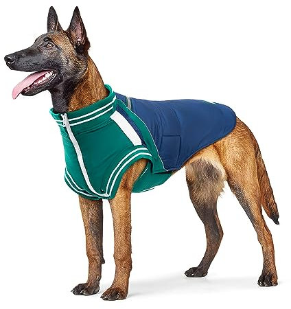 Hundemantel mit Geschirr, Baseball Hundejacke für Mittlere und Große Hunde, Winddichter Warme Hundemantel mit Fleece-Futter für den Winter im Freien (L)