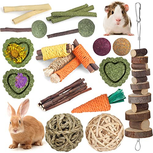 Kaninchen-Spielzeug, Meerschweinchen-Spielzeug, Hamster-Spielzeug, Hasen-Spielzeug, 18 Stück, natürliche Timothy-Heustäbchen, Apfelholzstäbchen, Chinchilla-Spielzeug für die Zahnpflege, handgefertigt